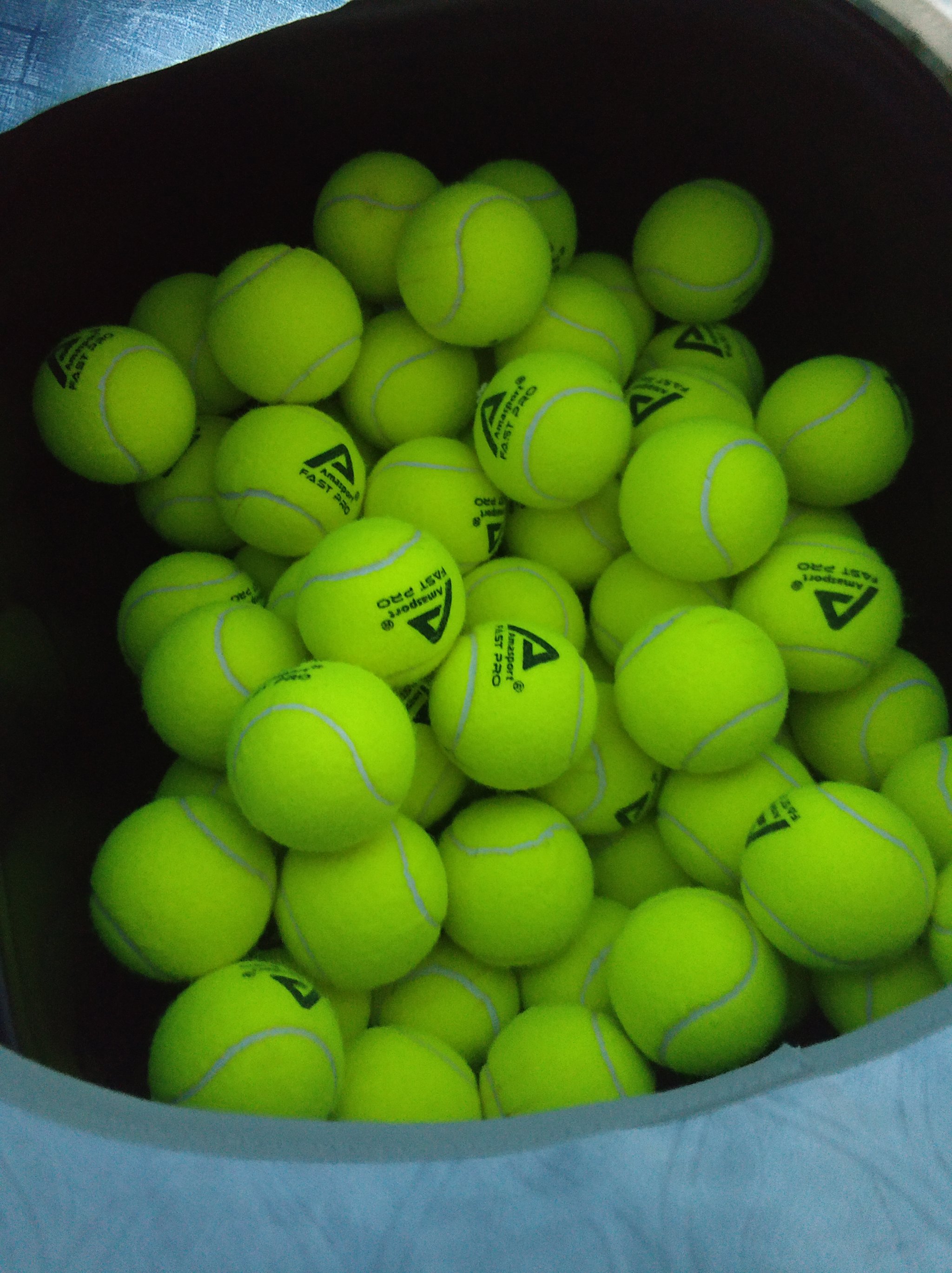 需要在今后 需要在今后